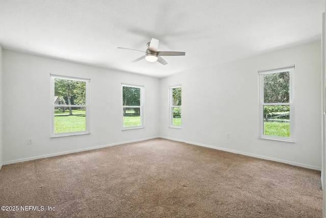 2181 Glenwood Hammock Rd, Deland, FL 32720 - carpeted empty room with a ceiling fan and plenty of natural light