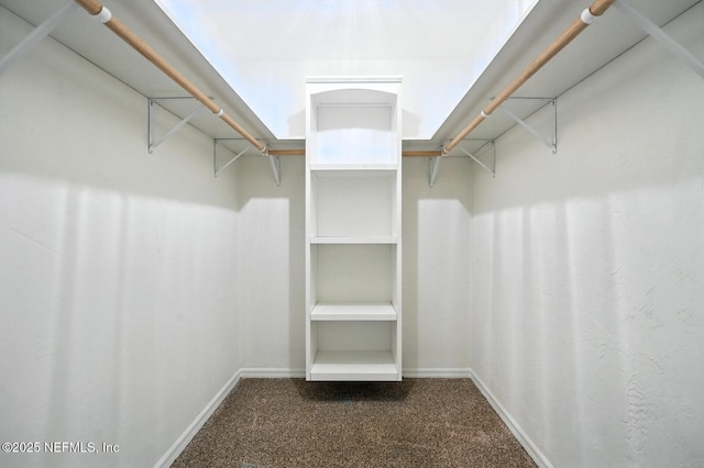 2181 Glenwood Hammock Rd, Deland, FL 32720 - spacious closet featuring carpet