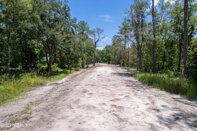 182 Pioneer Trl, Palatka, FL 32043 - photo 5