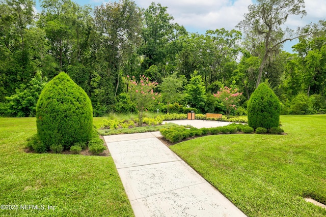 10546 Silverbrook Trl, Jacksonville, FL 32256 - photo 87