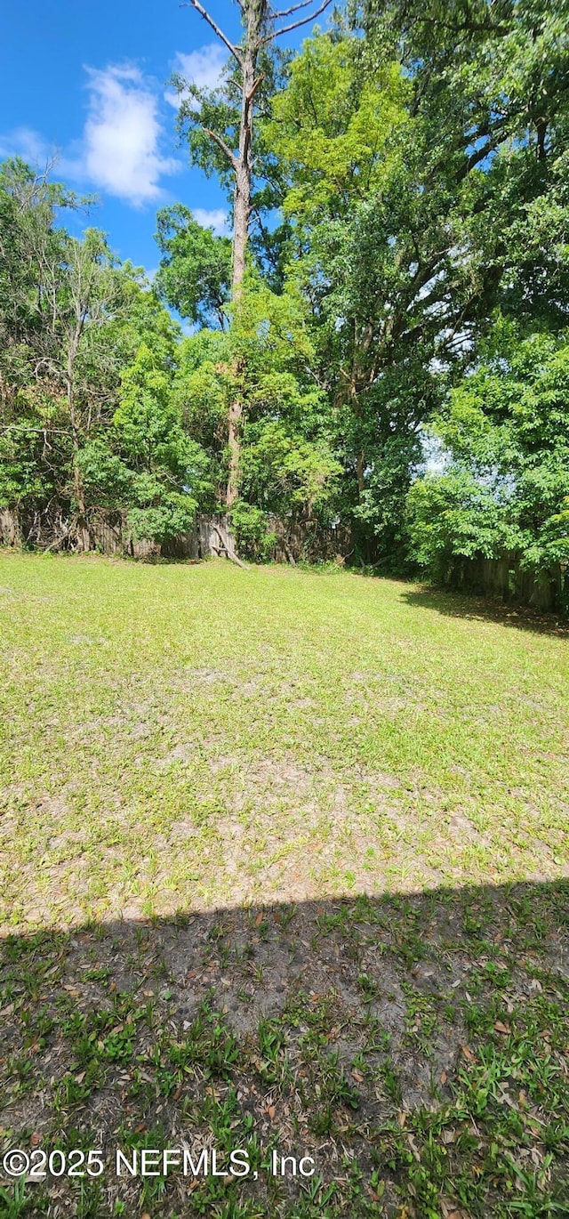 4835 Campenella Dr, Jacksonville, FL 32209 - photo 29