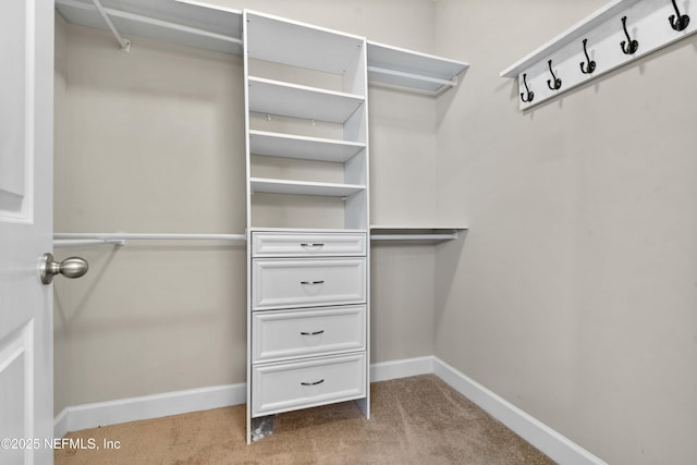 455 Citrus Ridge Dr, Ponte Vedra, FL 32081 - photo 27