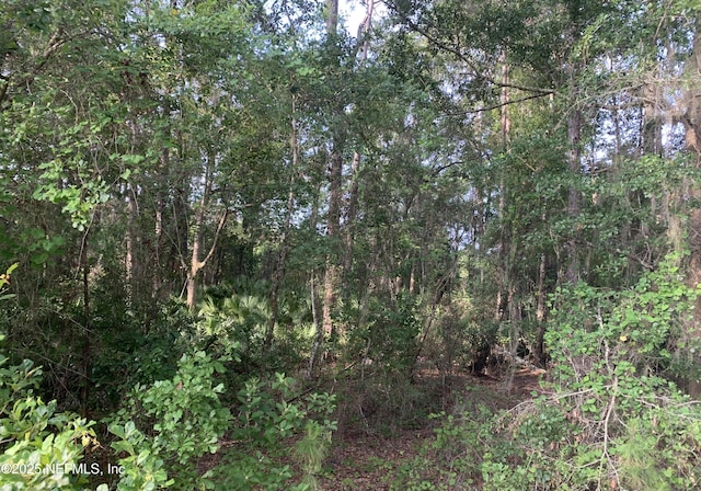 000 Appaloosa Dr, Interlachen, FL 32148