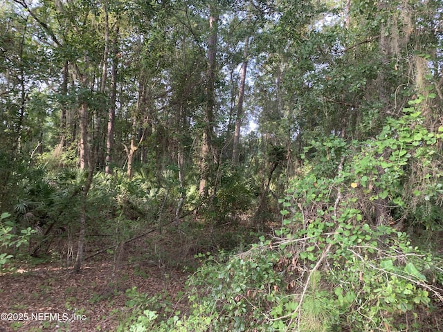 000 Appaloosa Dr, Interlachen, FL 32148