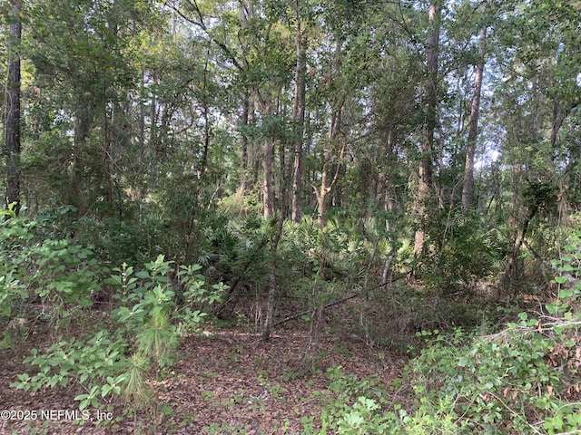 000 Appaloosa Dr, Interlachen, FL 32148