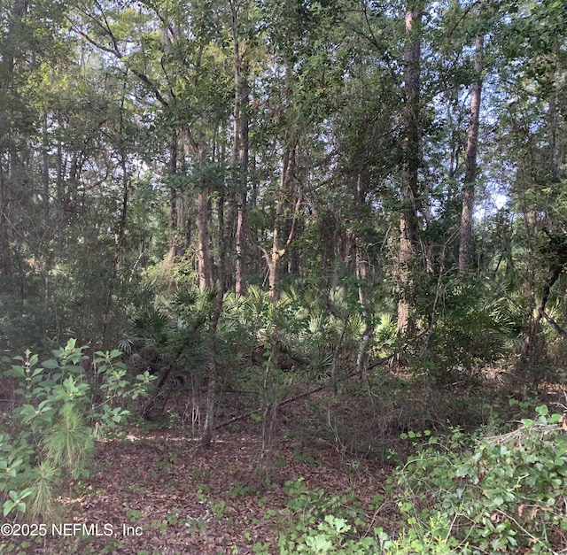 000 Appaloosa Dr, Interlachen, FL 32148