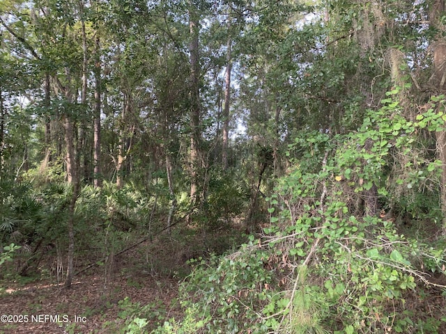 000 Appaloosa Dr, Interlachen, FL 32148