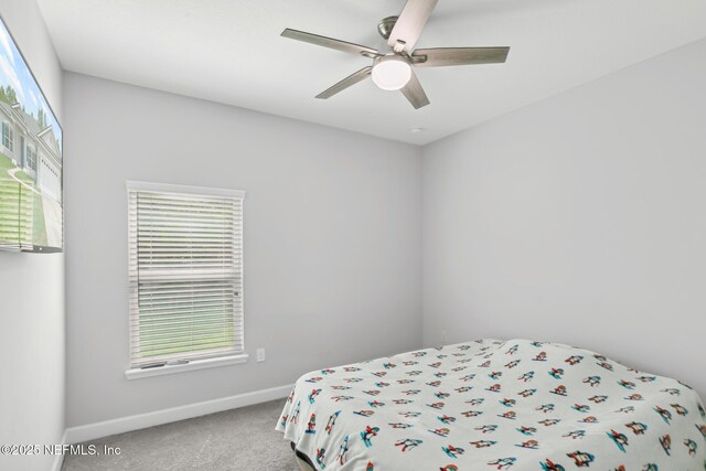 279 Spring Creek Way, Saint Augustine, FL 32095 - photo 42
