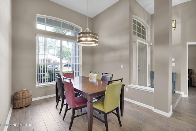 1571 Shelter Cove Dr, Fleming Island, FL 32003 - dining space with wood finished floors, a towering ceiling, and a chandelier