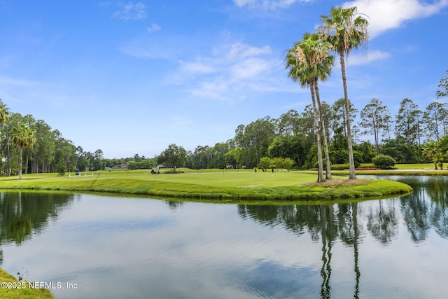 1571 Shelter Cove Dr, Fleming Island, FL 32003 - water view featuring a tree filled landscape