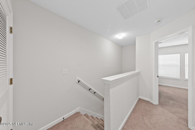 808 Black Cherry Dr S, Saint Johns, FL 32259 - photo 23