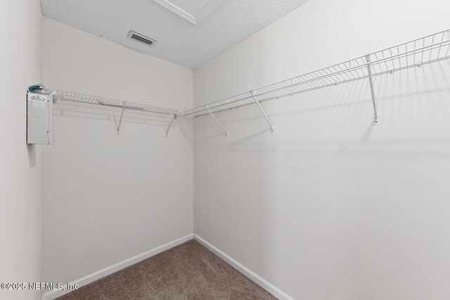 808 Black Cherry Dr S, Saint Johns, FL 32259 - photo 25