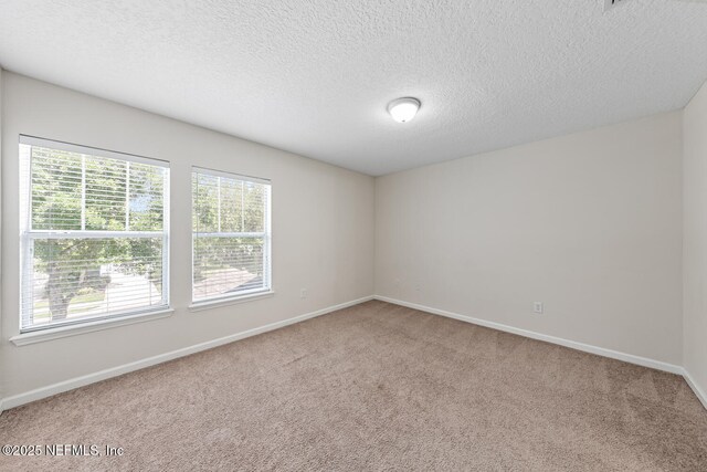 808 Black Cherry Dr S, Saint Johns, FL 32259 - photo 30