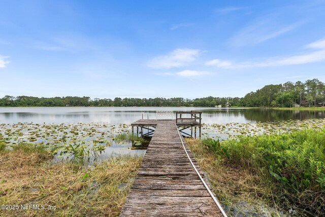 283 Riley Lake Dr, Hawthorne, FL 32640 - photo 8