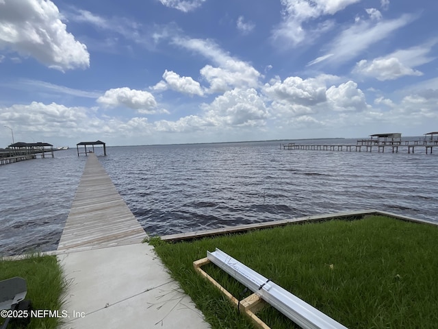 3859 Eldridge Ave, Orange Park, FL 32073 - photo 43