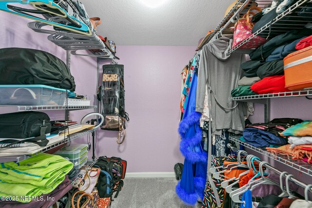 10075 Gate Pkwy N Unit 913, Jacksonville, FL 32246 - walk in closet with carpet