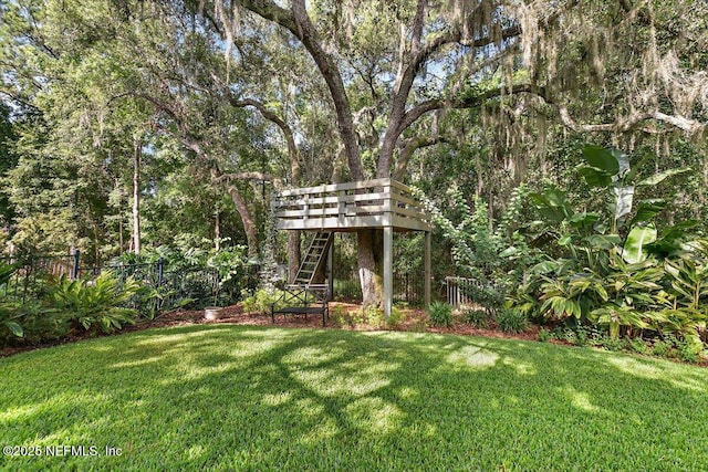 4705 Sawbuck St, Saint Augustine, FL 32092 - view of yard