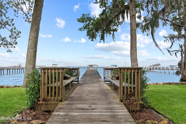 970 Fruit Cove Rd, Saint Johns, FL 32259 - dock area with a water view and a yard