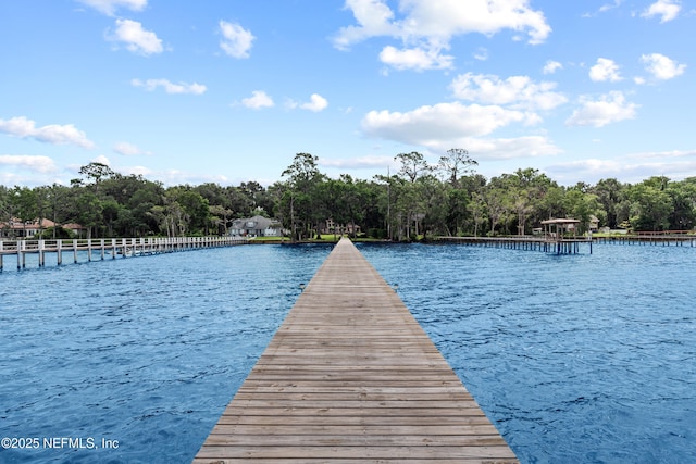 970 Fruit Cove Rd, Saint Johns, FL 32259 - view of dock area