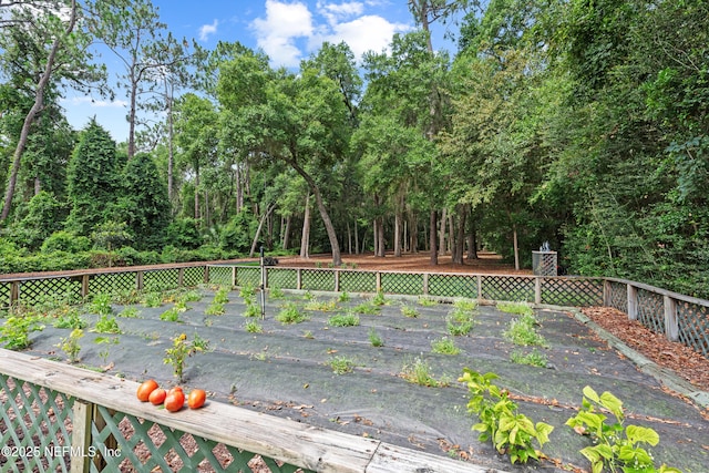 970 Fruit Cove Rd, Saint Johns, FL 32259 - deck featuring a fenced backyard