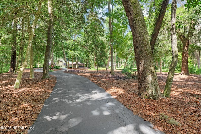 970 Fruit Cove Rd, Saint Johns, FL 32259 - view of home's community with driveway