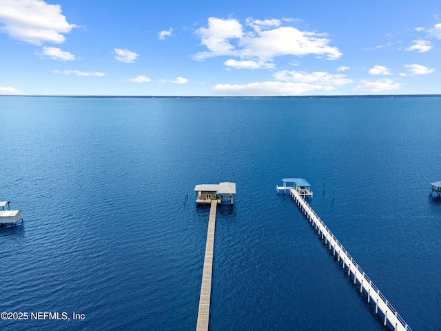 970 Fruit Cove Rd, Saint Johns, FL 32259 - bird's eye view of a large body of water