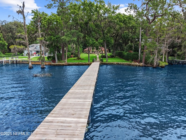 970 Fruit Cove Rd, Saint Johns, FL 32259 - dock area with a water view, a lawn, and view of wooded area