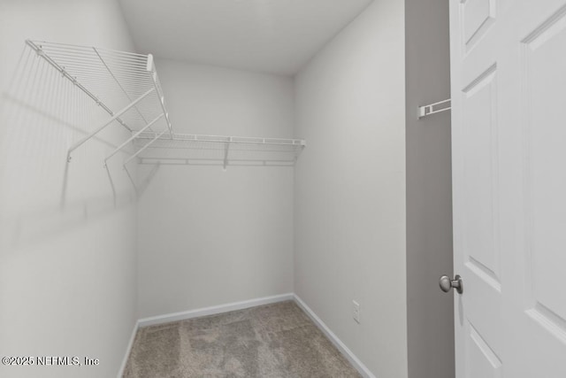 6098 Patriots Landing Ln, Jacksonville, FL 32244 - photo 42