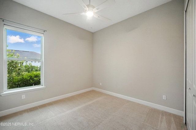 121 Pine Manor Dr, Jacksonville, FL 32081 - photo 16
