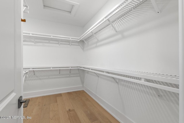 1501 Emma Ln, Neptune Beach, FL 32266 - walk in closet featuring light wood finished floors and attic access