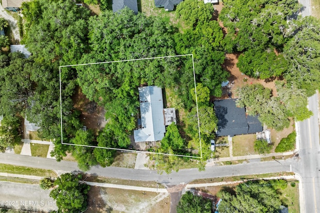 1901 Oak St, Palatka, FL 32177 - photo 4