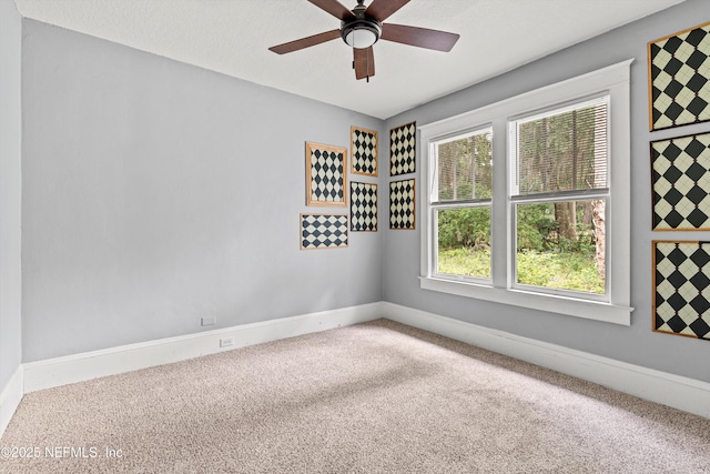 1901 Oak St, Palatka, FL 32177 - photo 16
