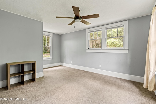 1901 Oak St, Palatka, FL 32177 - photo 18