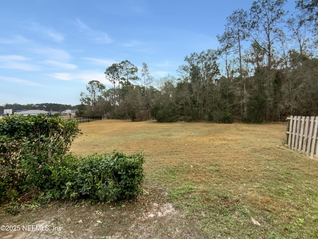 287 Buck Run Way, Saint Augustine, FL 32092 - view of yard