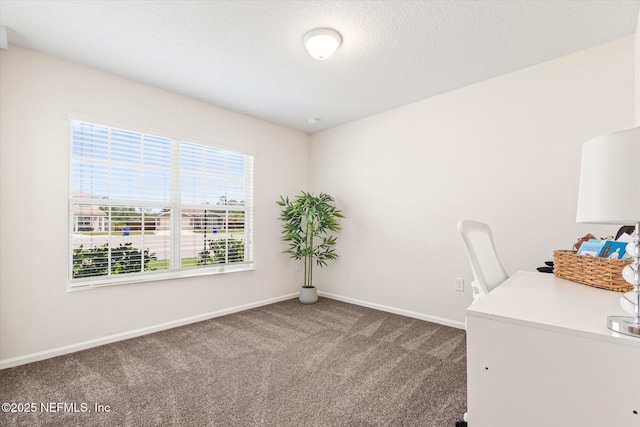 189 Blue Creek Way, Saint Augustine, FL 32086 - unfurnished office with carpet and baseboards