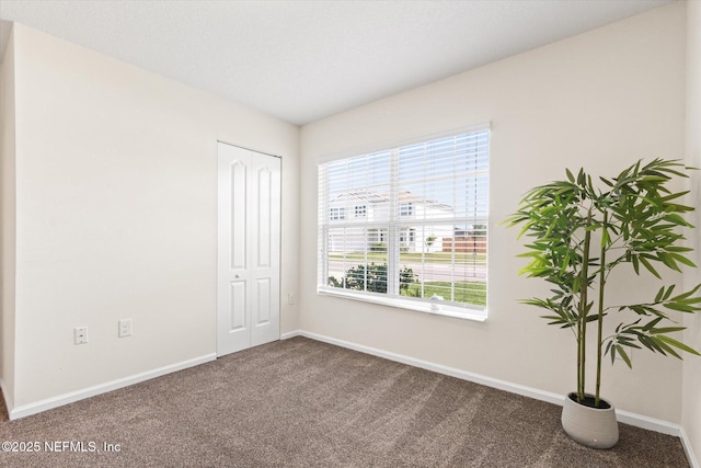 189 Blue Creek Way, Saint Augustine, FL 32086 - spare room featuring carpet flooring and healthy amount of natural light