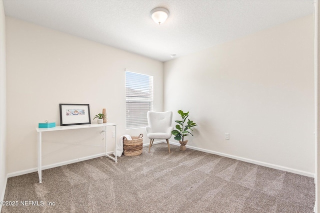 189 Blue Creek Way, Saint Augustine, FL 32086 - living area featuring carpet floors and baseboards