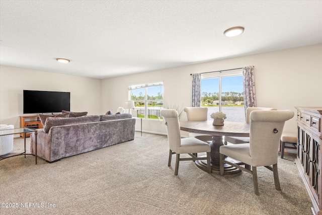 189 Blue Creek Way, Saint Augustine, FL 32086 - dining room featuring carpet