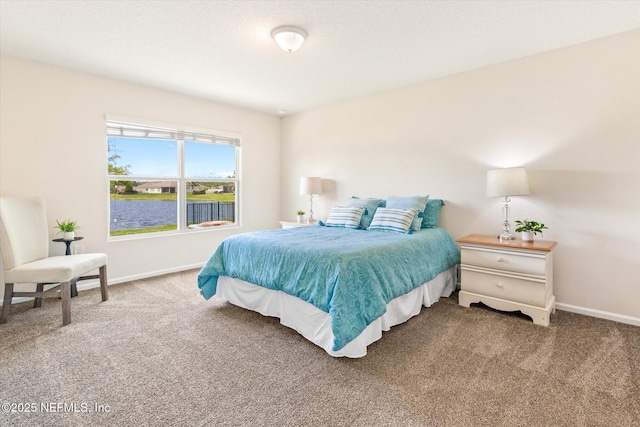 189 Blue Creek Way, Saint Augustine, FL 32086 - bedroom with carpet and a water view