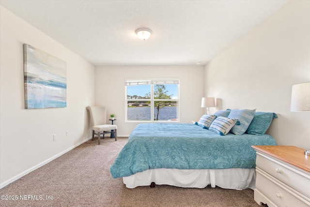 189 Blue Creek Way, Saint Augustine, FL 32086 - bedroom featuring carpet and baseboards