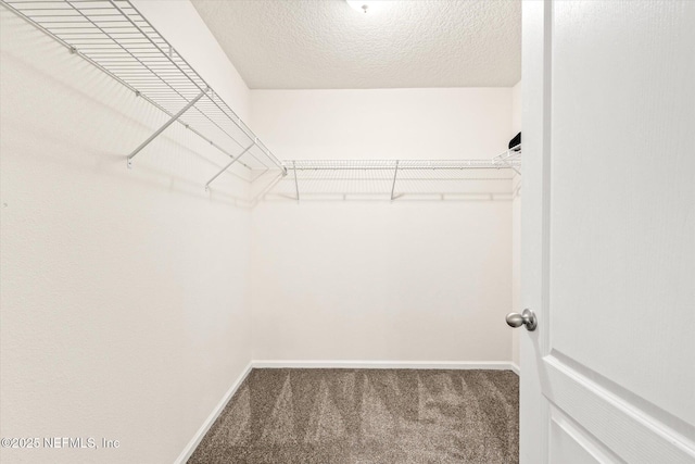 189 Blue Creek Way, Saint Augustine, FL 32086 - spacious closet with carpet floors