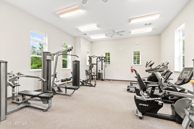 189 Blue Creek Way, Saint Augustine, FL 32086 - exercise room featuring healthy amount of natural light and ceiling fan