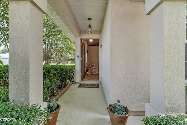 6227 Potter Spring Ct, Jacksonville, FL 32258 - photo 4