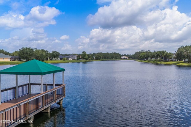 6227 Potter Spring Ct, Jacksonville, FL 32258 - photo 46