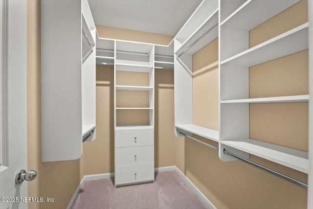 75570 Pondside Ln, Yulee, FL 32097 - walk in closet with carpet flooring