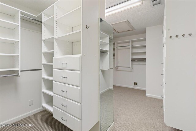 91 San Juan Dr Unit E3, Ponte Vedra Beach, FL 32082 - spacious closet featuring attic access and carpet flooring