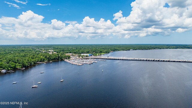 12162 Travertine Trl, Jacksonville, FL 32223 - photo 37