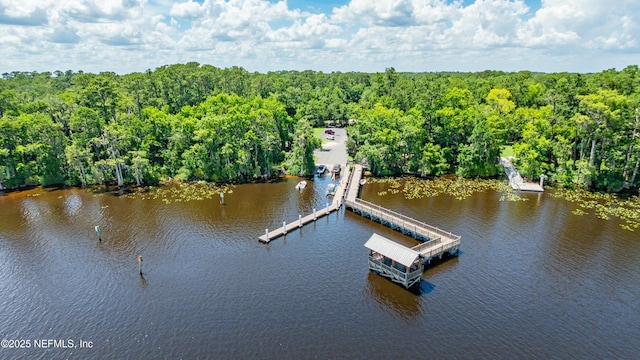 12162 Travertine Trl, Jacksonville, FL 32223 - photo 38