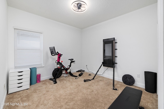347 Ness Cir, Saint Augustine, FL 32095 - exercise area featuring carpet floors and a textured ceiling