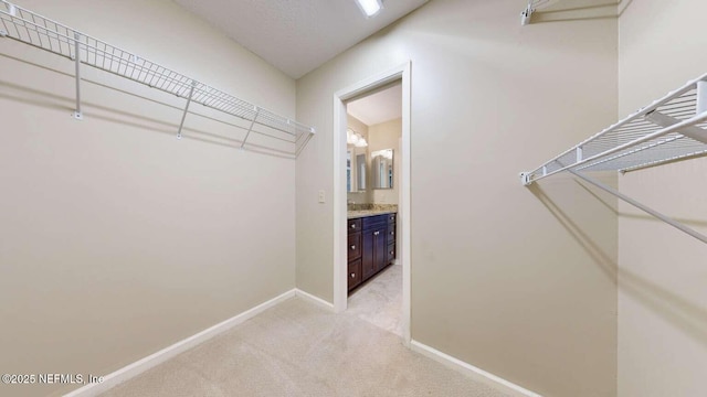 9132 Mornington Dr, Jacksonville, FL 32257 - photo 11